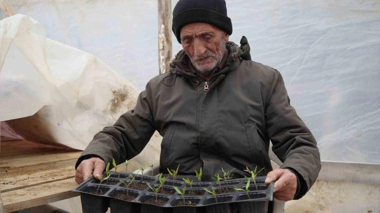 Bayburtlu &ccedil;ift&ccedil;i ata tohumlarını yaşatmak i&ccedil;in &uuml;cretsiz fide dağıtıyor