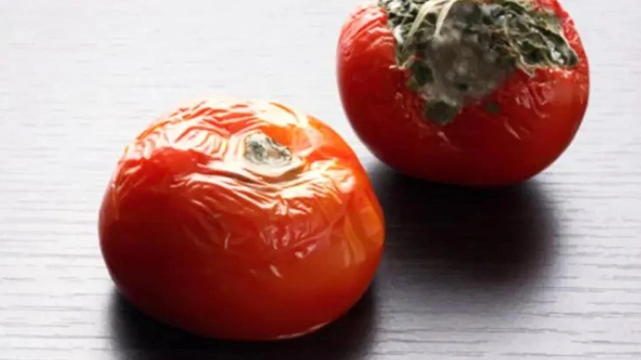 V&uuml;cudunuzu zehirliyor: B&ouml;yle t&uuml;keten yandı! Renge dikkat...