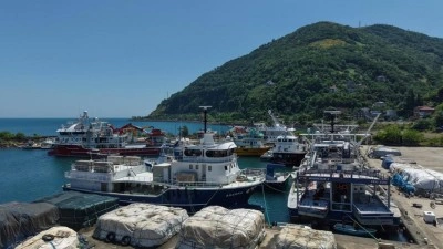 Balık&ccedil;ıların yeni sezonda umudu palamut