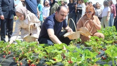 Başkan Altay: 2027 yılı tarımsal destek başvuruları 1 Temmuz&rsquo;da başlayacak