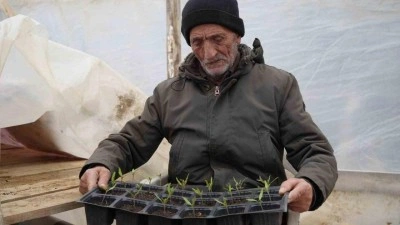 Bayburtlu &ccedil;ift&ccedil;i ata tohumlarını yaşatmak i&ccedil;in &uuml;cretsiz fide dağıtıyor