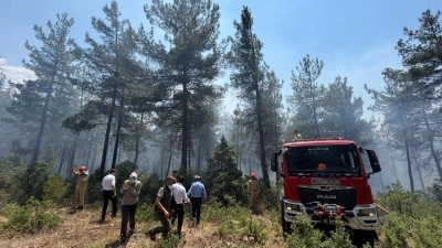 Bursa'da korkutan orman yangını
