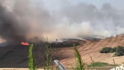 B&uuml;y&uuml;k&ccedil;ekmece'de korkutan yangın! Alevler r&uuml;zgarın etkisiyle b&uuml;y&uuml;yor...