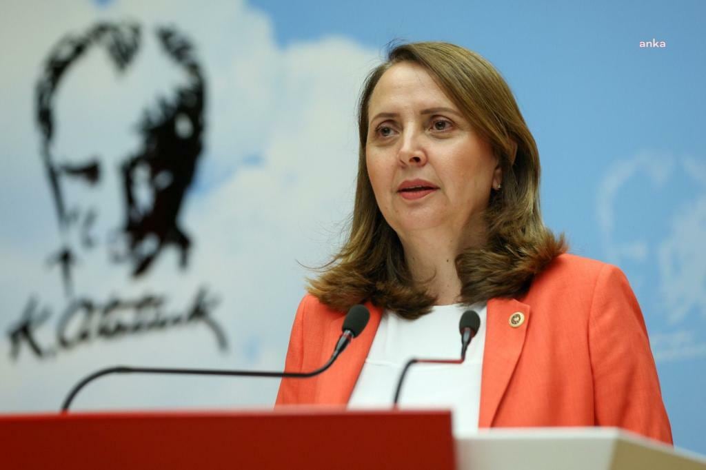 CHP'li Din&ccedil;er'den Kılı&ccedil;daroğlu'nun Sosyal Demokrasi Derneği'nden ihra&ccedil; edilmesine tepki: Sivil toplum &ouml;rg&uuml;tleri, siyasi partilerin i&ccedil; tartışmalarında taraf olamaz, siyasi ikbal peşinde koşmaz