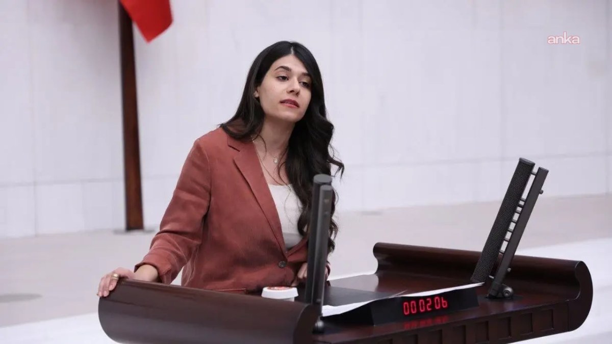 DEM Parti Milletvekili Altın, Kızıltepe&rsquo;de &ccedil;ocukların bulunduğu eve baskını Meclis g&uuml;ndemine taşıdı