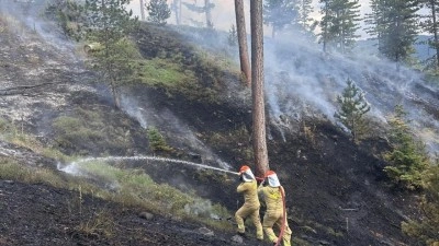 Kastamonu'da korkutan orman yangını!