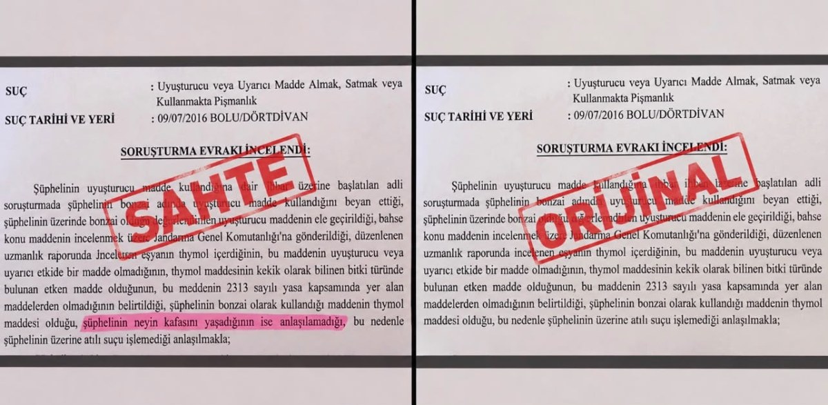 &lsquo;Neyin kafasını yaşadığı anlaşılamadı&rsquo; ifadeli savcılık kararı iddiasına soruşturma