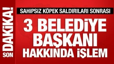 Sahipsiz k&ouml;pek saldırıları sonrası 3 belediye başkanı hakkında işlem