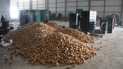 Soğan bir bardak &ccedil;aydan bile ucuz