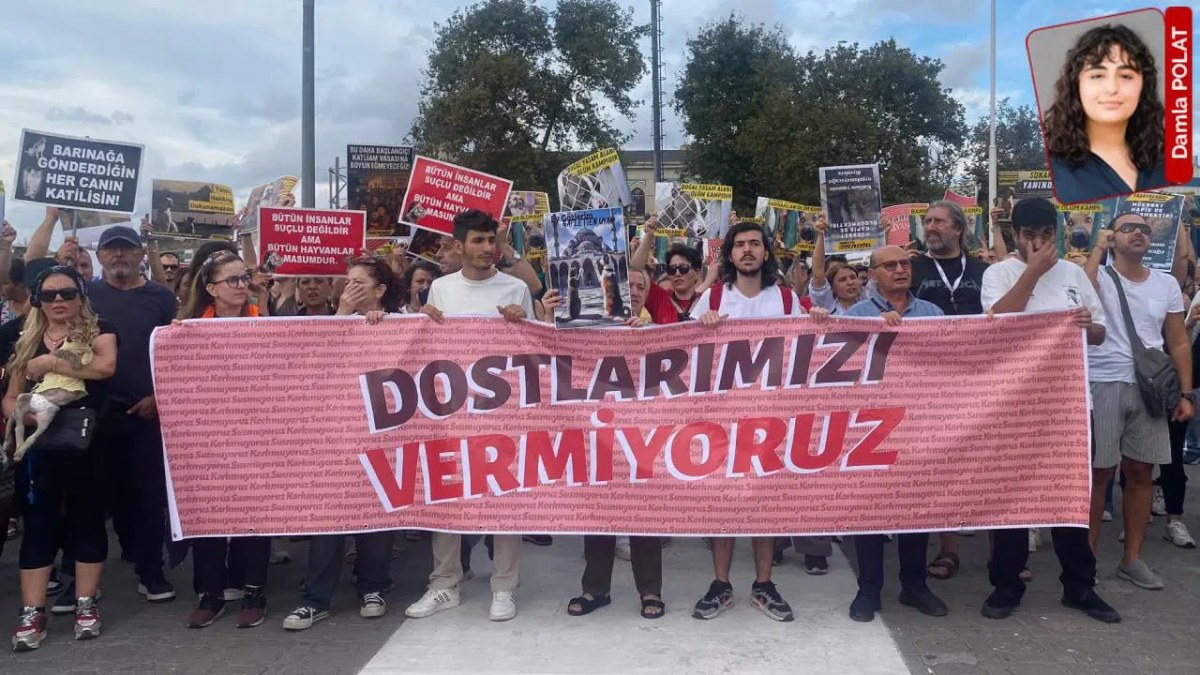 Sokakta yasak, barınakta ihmal, adalette sessizlik: Baskı ve cezasızlık arasında bir ay