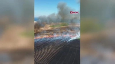 Tekirdağ'da yangın: 300 dekar tarım alanı zarar g&ouml;rd&uuml;