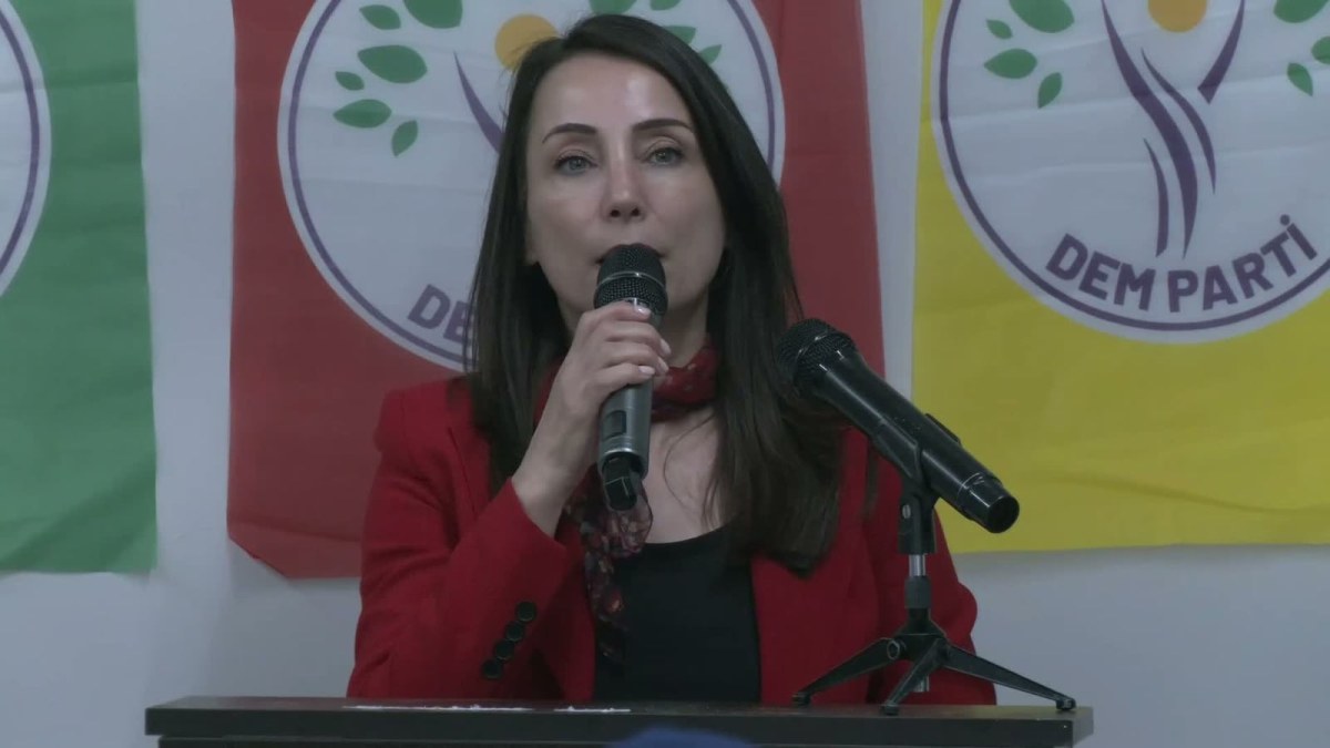 T&uuml;lay Hatimoğulları: "Bir adım ileri, beş adım geri mantığıyla bu s&uuml;re&ccedil; y&uuml;r&uuml;t&uuml;lemez"