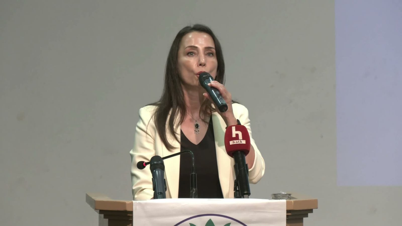 T&uuml;lay Hatimoğulları: "Bu topraklarda K&uuml;rtleri inkar etme, K&uuml;rtleri yok sayma d&ouml;nemi kapanmıştır"