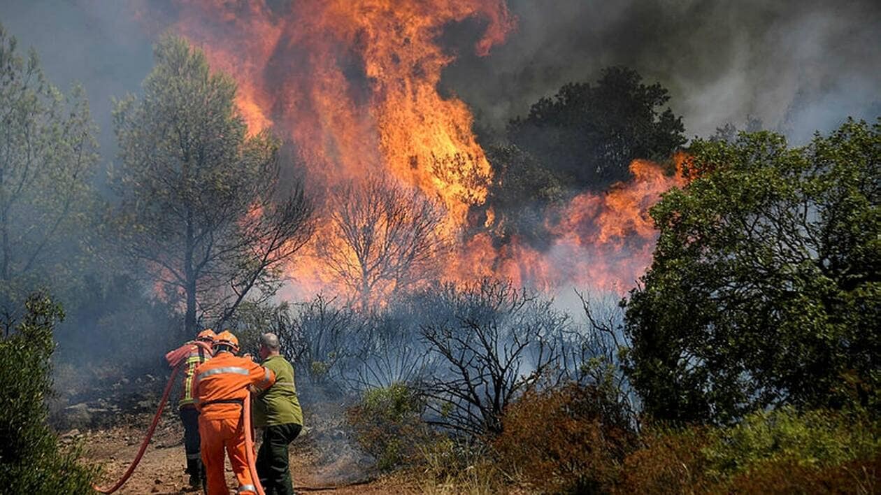 Fransa’da bir haftada 74 kilometrelik orman alanı yandı